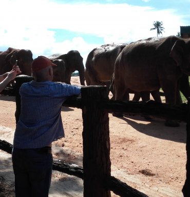 Wild Life Tours