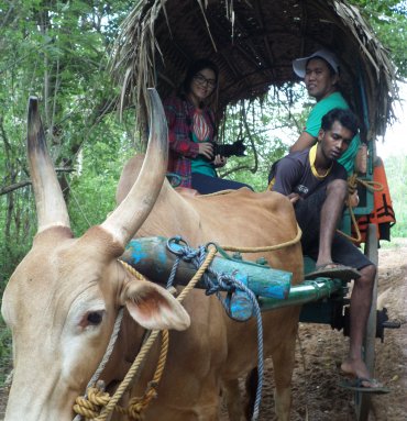 Cultural & Historical Tours