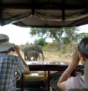 Wild Life Tours