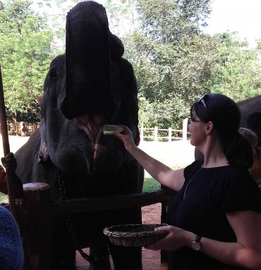 Wild Life Tours