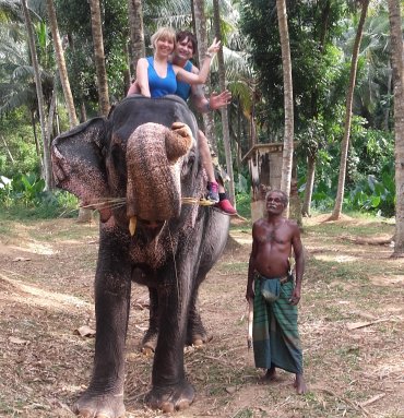 Wild Life Tours