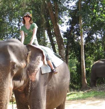 Wild Life Tours