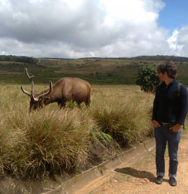 Wild Life Tours