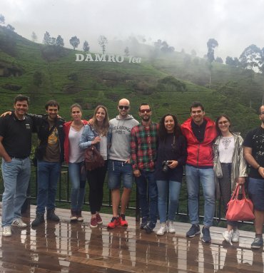 Group Tours 