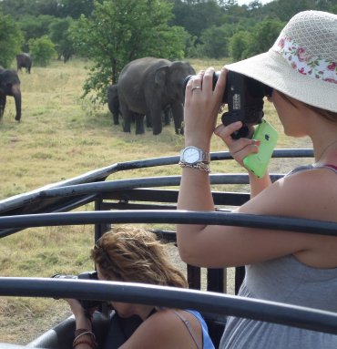 Wild Life Tours