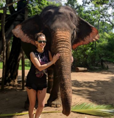 Wild Life Tours