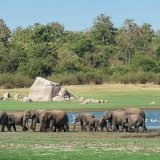 Minneriya National Park